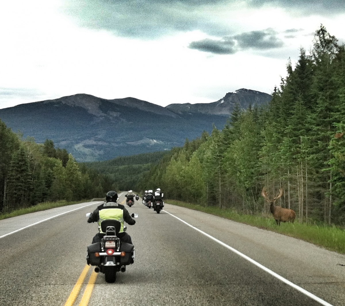 Canada & Yellowstone Guided Tour