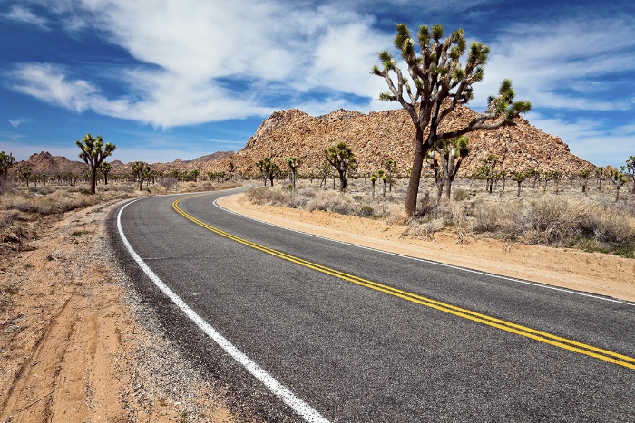 The Roader Cafe Retro Tours Of The American West